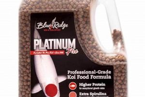 Buy 4.5 Pounds Bulk Fish Food Now! Savings Inside World’s Most Delicious Foods: Must-Try Dishes from Every Country Buy 4.5 Pounds Bulk Fish Food Now! Savings Inside | World’s Most Delicious Foods: Must-Try Dishes from Every Country