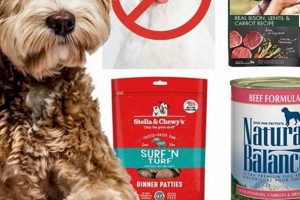Get *Free* Puppy Food Samples: Best Deals & Offers! World’s Most Delicious Foods: Must-Try Dishes from Every Country Get *Free* Puppy Food Samples: Best Deals & Offers! | World’s Most Delicious Foods: Must-Try Dishes from Every Country