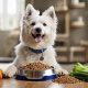 The Ultimate Guide to Best Soft Dog Food for Senior Dogs | World’s Most Delicious Foods: Must-Try Dishes from Every Country