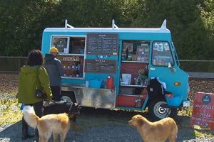 Unleash the Fun: Crazy Dog Food Truck Near You! Safem Fabrication - Precision Engineering & Custom Manufacturing Solutions Unleash the Fun: Crazy Dog Food Truck Near You! | Safem Fabrication - Precision Engineering & Custom Manufacturing Solutions