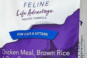 Best Verus Cat Food: Reviews & Guide [Year] | World’s Most Delicious Foods: Must-Try Dishes from Every Country