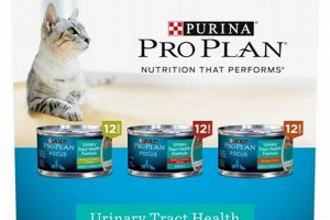 Best Wet Cat Food for Urinary Health: Guide & Benefits Safem Fabrication - Precision Engineering & Custom Manufacturing Solutions Best Wet Cat Food for Urinary Health: Guide & Benefits | Safem Fabrication - Precision Engineering & Custom Manufacturing Solutions