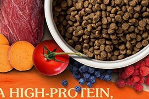 Best Epi Dog Food: Diet & Supplement Guide Safem Fabrication - Precision Engineering & Custom Manufacturing Solutions Best Epi Dog Food: Diet & Supplement Guide | Safem Fabrication - Precision Engineering & Custom Manufacturing Solutions