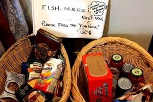 Ellensburg WA Fish Food Bank: Helping Aquatic Pets Thrive Safem Fabrication - Precision Engineering & Custom Manufacturing Solutions Ellensburg WA Fish Food Bank: Helping Aquatic Pets Thrive | Safem Fabrication - Precision Engineering & Custom Manufacturing Solutions