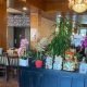 Best Chinese Food Delivery in Castro Valley, CA - Order Now! | World’s Most Delicious Foods: Must-Try Dishes from Every Country