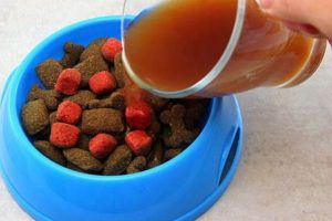 Easy How to Make Dog Food Gravy: Recipes & Tips! Safem Fabrication - Precision Engineering & Custom Manufacturing Solutions Easy How to Make Dog Food Gravy: Recipes & Tips! | Safem Fabrication - Precision Engineering & Custom Manufacturing Solutions