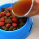 Easy How to Make Dog Food Gravy: Recipes & Tips! | World’s Most Delicious Foods: Must-Try Dishes from Every Country