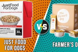 Fresh Face-Off: Just Food for Dogs vs Farmer's Dog Review Safem Fabrication - Precision Engineering & Custom Manufacturing Solutions Fresh Face-Off: Just Food for Dogs vs Farmer's Dog Review | Safem Fabrication - Precision Engineering & Custom Manufacturing Solutions
