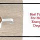 Fueling Champions: Best Dog Food for High Energy Dogs | World’s Most Delicious Foods: Must-Try Dishes from Every Country