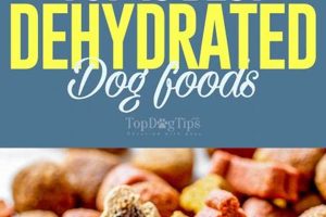 Best Dehydrated Dog Food: Healthy & Natural Choices Safem Fabrication - Precision Engineering & Custom Manufacturing Solutions Best Dehydrated Dog Food: Healthy & Natural Choices | Safem Fabrication - Precision Engineering & Custom Manufacturing Solutions