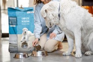 Dog Digestion: How Quickly Does A Dog Digest Food? Guide Safem Fabrication - Precision Engineering & Custom Manufacturing Solutions Dog Digestion: How Quickly Does A Dog Digest Food? Guide | Safem Fabrication - Precision Engineering & Custom Manufacturing Solutions
