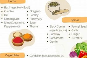 Low-Histamine India: How Can I Try Indian Food With a Histamine Intolerance? Diet Tips Safem Fabrication - Precision Engineering & Custom Manufacturing Solutions Low-Histamine India: How Can I Try Indian Food With a Histamine Intolerance? Diet Tips | Safem Fabrication - Precision Engineering & Custom Manufacturing Solutions