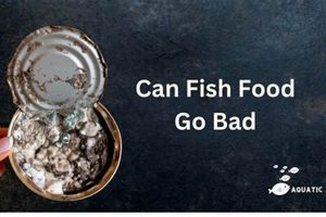 Fish Food Secrets: Does Fish Food Go Bad Quickly? Safem Fabrication - Precision Engineering & Custom Manufacturing Solutions Fish Food Secrets: Does Fish Food Go Bad Quickly? | Safem Fabrication - Precision Engineering & Custom Manufacturing Solutions
