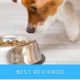 Top-Rated: Best Dog Food for Soft Stools - Solutions! | World’s Most Delicious Foods: Must-Try Dishes from Every Country