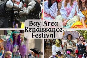 Bay Area Food Festival Guide: Best Festivals & Events Safem Fabrication - Precision Engineering & Custom Manufacturing Solutions Bay Area Food Festival Guide: Best Festivals & Events | Safem Fabrication - Precision Engineering & Custom Manufacturing Solutions