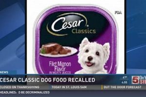Why Cesar Dog Food Recalls Matter + Prevention Safem Fabrication - Precision Engineering & Custom Manufacturing Solutions Why Cesar Dog Food Recalls Matter + Prevention | Safem Fabrication - Precision Engineering & Custom Manufacturing Solutions