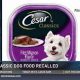 Why Cesar Dog Food Recalls Matter + Prevention | World’s Most Delicious Foods: Must-Try Dishes from Every Country