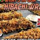 The Hibachi Ninja Food Truck: Culinary Thrills On Wheels! | World’s Most Delicious Foods: Must-Try Dishes from Every Country