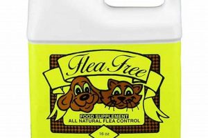Natural Flea Free Food Supplement: Say Goodbye to Fleas! Safem Fabrication - Precision Engineering & Custom Manufacturing Solutions Natural Flea Free Food Supplement: Say Goodbye to Fleas! | Safem Fabrication - Precision Engineering & Custom Manufacturing Solutions
