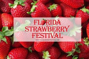 Best Florida Strawberry Festival Food: Delicious Treats! Safem Fabrication - Precision Engineering & Custom Manufacturing Solutions Best Florida Strawberry Festival Food: Delicious Treats! | Safem Fabrication - Precision Engineering & Custom Manufacturing Solutions