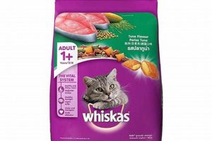Best Whiskas Dry Food for Cats: Your Guide & Tips Safem Fabrication - Precision Engineering & Custom Manufacturing Solutions Best Whiskas Dry Food for Cats: Your Guide & Tips | Safem Fabrication - Precision Engineering & Custom Manufacturing Solutions