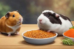 Can Hamsters Eat Guinea Pig Food? + Safe Guide Safem Fabrication - Precision Engineering & Custom Manufacturing Solutions Can Hamsters Eat Guinea Pig Food? + Safe Guide | Safem Fabrication - Precision Engineering & Custom Manufacturing Solutions