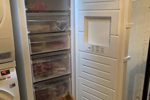 Best Dog Food Freezer: Keep Food Fresh! World’s Most Delicious Foods: Must-Try Dishes from Every Country Best Dog Food Freezer: Keep Food Fresh! | World’s Most Delicious Foods: Must-Try Dishes from Every Country