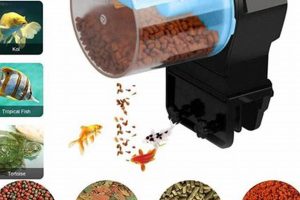 Top-Rated: Best Automatic Fish Food Dispenser [Guide] | World’s Most Delicious Foods: Must-Try Dishes from Every Country