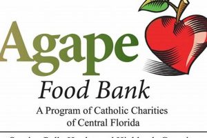 Find Free Food Winter Haven: Resources & Help Safem Fabrication - Precision Engineering & Custom Manufacturing Solutions Find Free Food Winter Haven: Resources & Help | Safem Fabrication - Precision Engineering & Custom Manufacturing Solutions