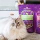 Stella & Chewy's Cat Food: Reviews & Expert Tips | World’s Most Delicious Foods: Must-Try Dishes from Every Country