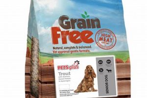 Top Grain Free Senior Dog Food for Happy Golden Years! Safem Fabrication - Precision Engineering & Custom Manufacturing Solutions Top Grain Free Senior Dog Food for Happy Golden Years! | Safem Fabrication - Precision Engineering & Custom Manufacturing Solutions