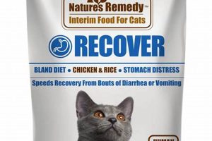 Is Bland Cat Food the Best Solution? What to Know Safem Fabrication - Precision Engineering & Custom Manufacturing Solutions Is Bland Cat Food the Best Solution? What to Know | Safem Fabrication - Precision Engineering & Custom Manufacturing Solutions