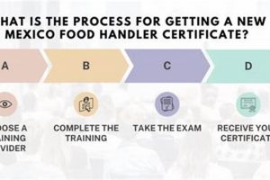 Guide: New Mexico Food Handlers - Certifications & Safety Safem Fabrication - Precision Engineering & Custom Manufacturing Solutions Guide: New Mexico Food Handlers - Certifications & Safety | Safem Fabrication - Precision Engineering & Custom Manufacturing Solutions