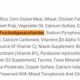 Prebiotic Boost: Fructooligosaccharides in Cat Food & Health | World’s Most Delicious Foods: Must-Try Dishes from Every Country