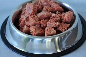 Best Dog Food Meat: Guide, Types & Buying Tips Safem Fabrication - Precision Engineering & Custom Manufacturing Solutions Best Dog Food Meat: Guide, Types & Buying Tips | Safem Fabrication - Precision Engineering & Custom Manufacturing Solutions