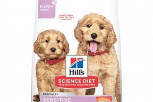 Best Salmon Puppy Food: Nourish Your Dog's Growth Safem Fabrication - Precision Engineering & Custom Manufacturing Solutions Best Salmon Puppy Food: Nourish Your Dog's Growth | Safem Fabrication - Precision Engineering & Custom Manufacturing Solutions