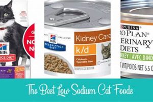 Best Low Sodium Wet Cat Food: Diet & Health Tips! Safem Fabrication - Precision Engineering & Custom Manufacturing Solutions Best Low Sodium Wet Cat Food: Diet & Health Tips! | Safem Fabrication - Precision Engineering & Custom Manufacturing Solutions