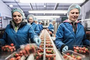 Local Food Industry Jobs Near Me: Your Dream Awaits! Safem Fabrication - Precision Engineering & Custom Manufacturing Solutions Local Food Industry Jobs Near Me: Your Dream Awaits! | Safem Fabrication - Precision Engineering & Custom Manufacturing Solutions