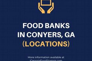 Your Guide to Food Banks in Conyers, GA Today Safem Fabrication - Precision Engineering & Custom Manufacturing Solutions Your Guide to Food Banks in Conyers, GA Today | Safem Fabrication - Precision Engineering & Custom Manufacturing Solutions