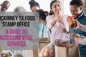 McKinney Food Stamps: Accessing Benefits Near You! Safem Fabrication - Precision Engineering & Custom Manufacturing Solutions McKinney Food Stamps: Accessing Benefits Near You! | Safem Fabrication - Precision Engineering & Custom Manufacturing Solutions