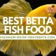 Top Betta Food Best Choices: Nourish Your Fighter! | World’s Most Delicious Foods: Must-Try Dishes from Every Country