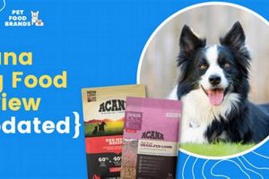 Best Acana Dog Food Reviews: Is It Right For Your Dog? Safem Fabrication - Precision Engineering & Custom Manufacturing Solutions Best Acana Dog Food Reviews: Is It Right For Your Dog? | Safem Fabrication - Precision Engineering & Custom Manufacturing Solutions