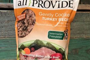 Best All Provide Cat Food Guide: Brands & Tips! Safem Fabrication - Precision Engineering & Custom Manufacturing Solutions Best All Provide Cat Food Guide: Brands & Tips! | Safem Fabrication - Precision Engineering & Custom Manufacturing Solutions