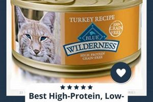 Best Low Carb Canned Cat Food: Diet & Brands Safem Fabrication - Precision Engineering & Custom Manufacturing Solutions Best Low Carb Canned Cat Food: Diet & Brands | Safem Fabrication - Precision Engineering & Custom Manufacturing Solutions