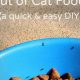 Cat Care: How to Keep Ants Out of Outdoor Cat Food - Easy Tips | World’s Most Delicious Foods: Must-Try Dishes from Every Country