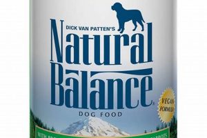 Best Vegetarian Wet Dog Food: Healthy & Delicious Options Safem Fabrication - Precision Engineering & Custom Manufacturing Solutions Best Vegetarian Wet Dog Food: Healthy & Delicious Options | Safem Fabrication - Precision Engineering & Custom Manufacturing Solutions