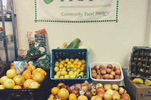 Local Seeds of Hope Food Pantry: Nourishing Hope & Community Safem Fabrication - Precision Engineering & Custom Manufacturing Solutions Local Seeds of Hope Food Pantry: Nourishing Hope & Community | Safem Fabrication - Precision Engineering & Custom Manufacturing Solutions