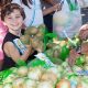 Support Vallejo Food Bank: Fight Hunger Locally | World’s Most Delicious Foods: Must-Try Dishes from Every Country