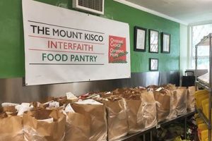 Essential: Mount Kisco Food Pantry & Hunger Relief Safem Fabrication - Precision Engineering & Custom Manufacturing Solutions Essential: Mount Kisco Food Pantry & Hunger Relief | Safem Fabrication - Precision Engineering & Custom Manufacturing Solutions