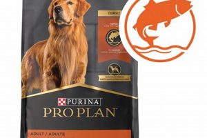 Best Salmon Rice Dog Food: Healthy & Delicious! Safem Fabrication - Precision Engineering & Custom Manufacturing Solutions Best Salmon Rice Dog Food: Healthy & Delicious! | Safem Fabrication - Precision Engineering & Custom Manufacturing Solutions